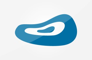 Vlees