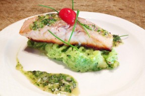Krokantje van zalmfilet met broccolistoemp